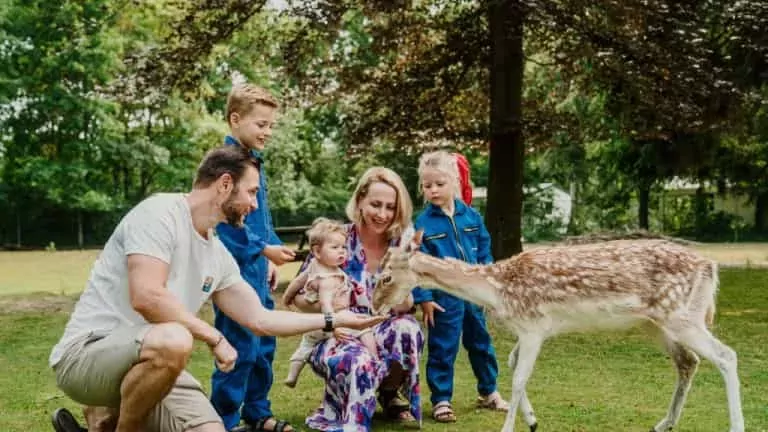 Dierenbos
