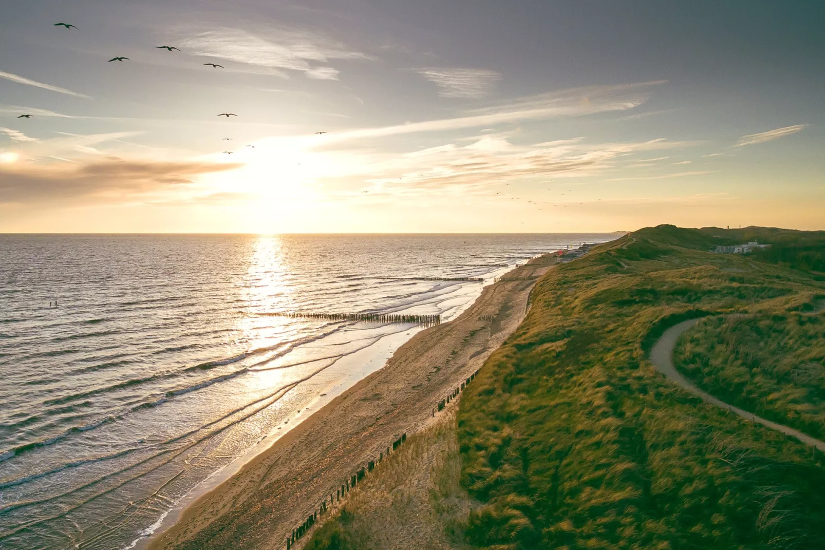 Noordzee Résidence Dishoek