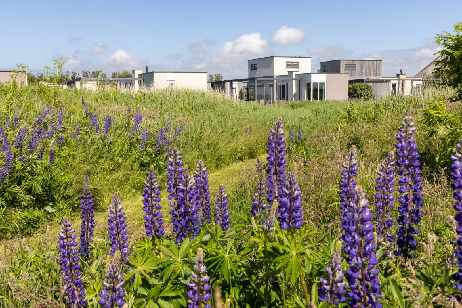 Vakantiepark Callassande