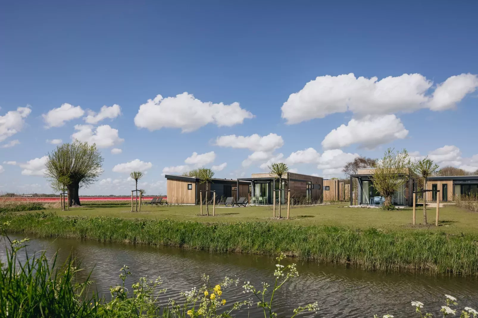 Park Wijdenes