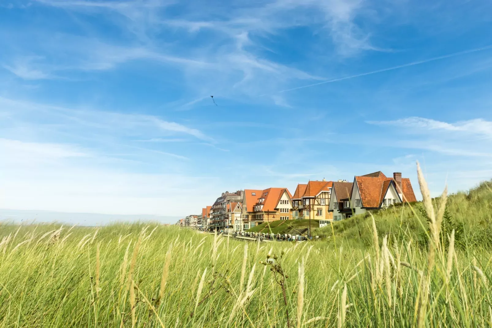Vakantiepark Breeduyn Village-