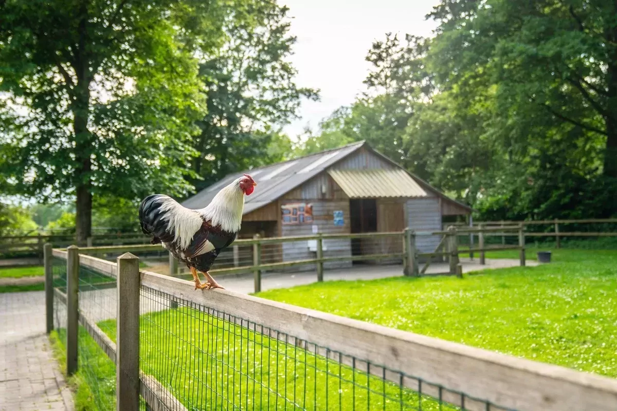 Landgoed De Elsgraven-