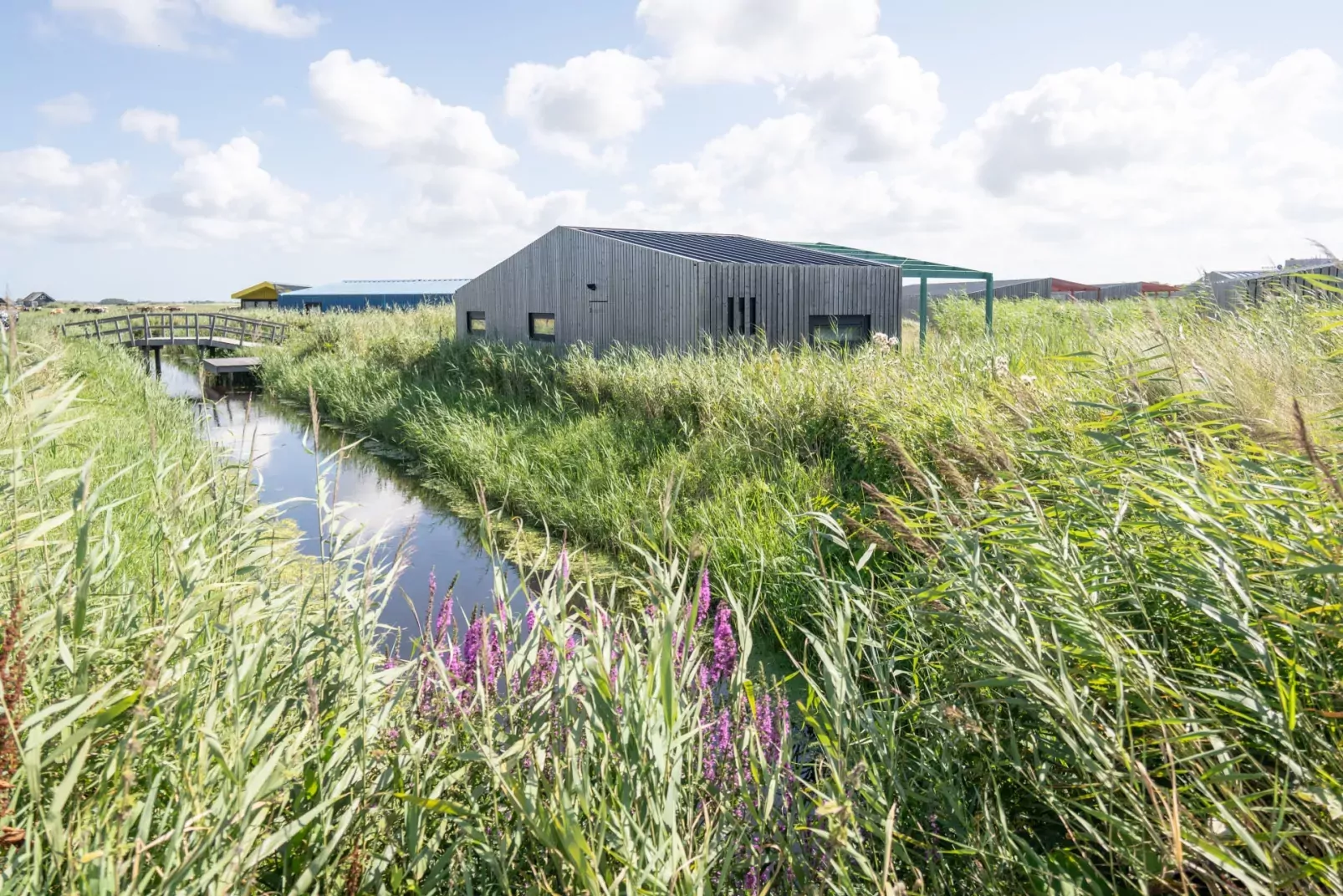 Roompot Callantsoog-