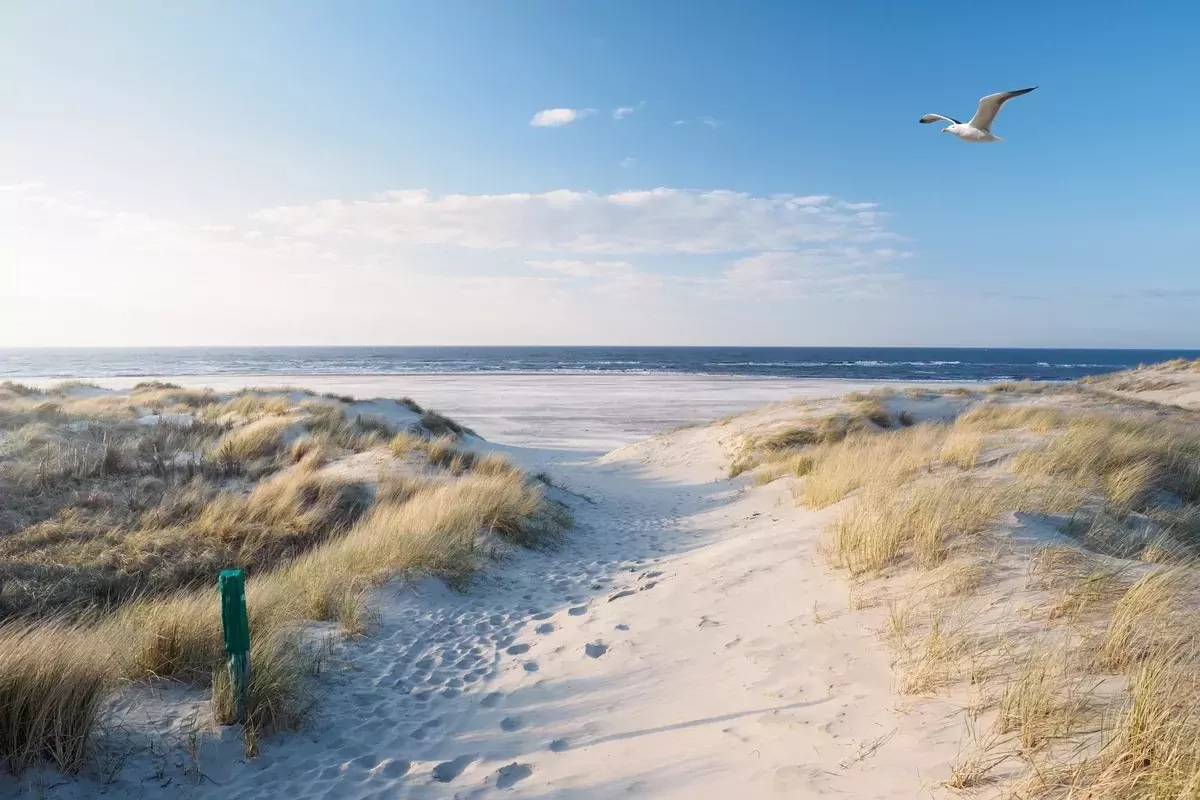 Landal Villapark Vogelmient-