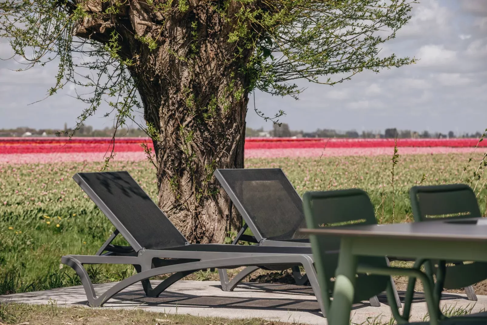 Park Wijdenes-