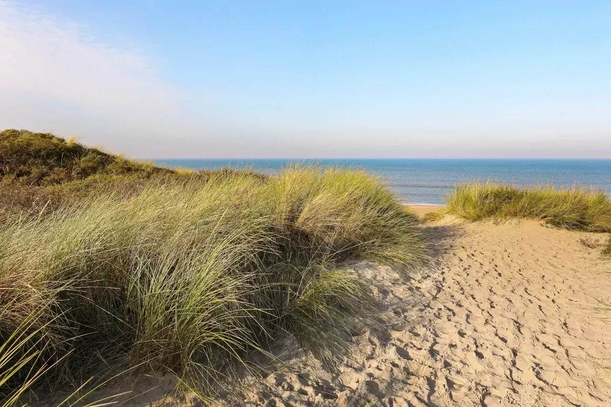 Landal Resort Haamstede-