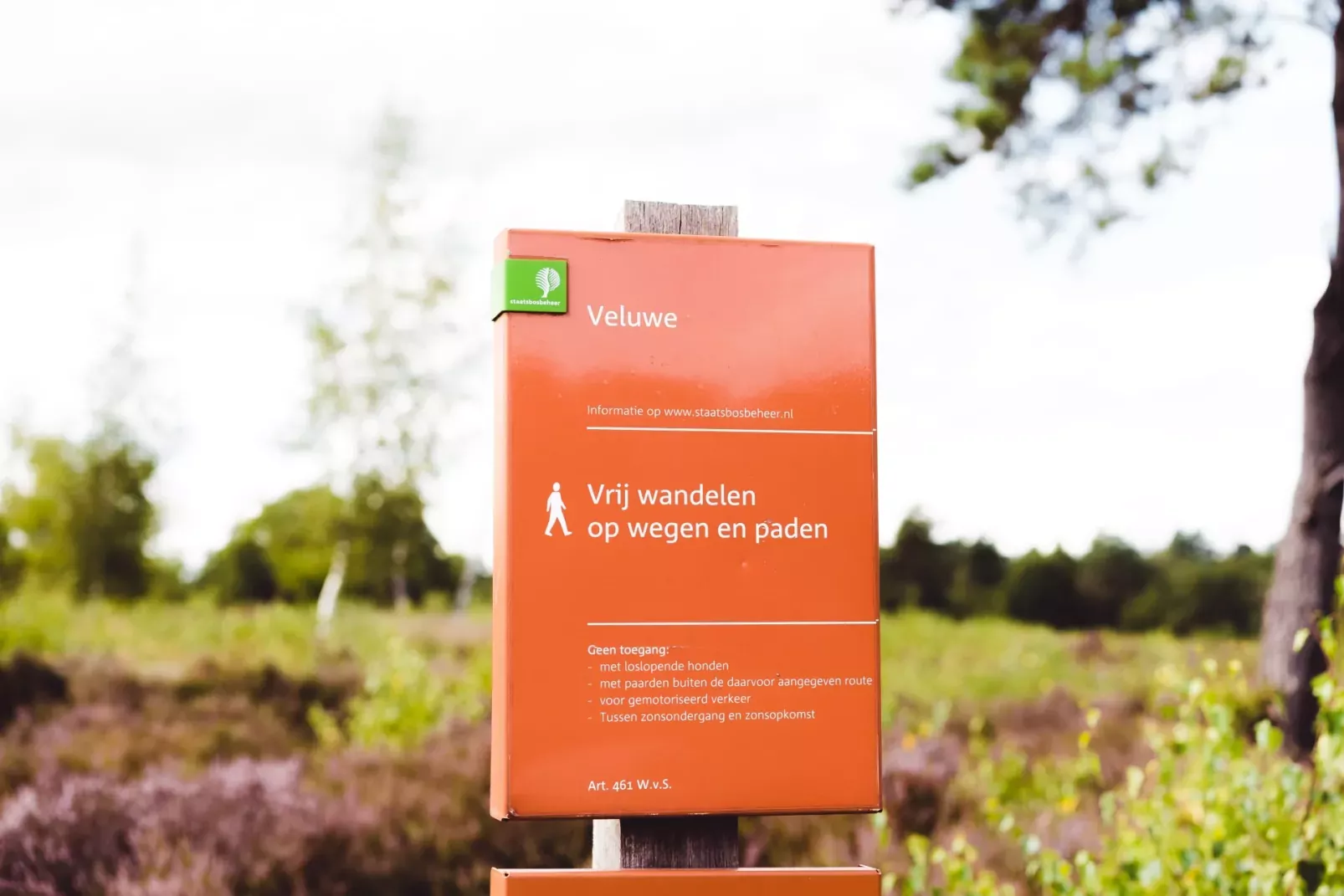 Bospark De Schaapskooi-