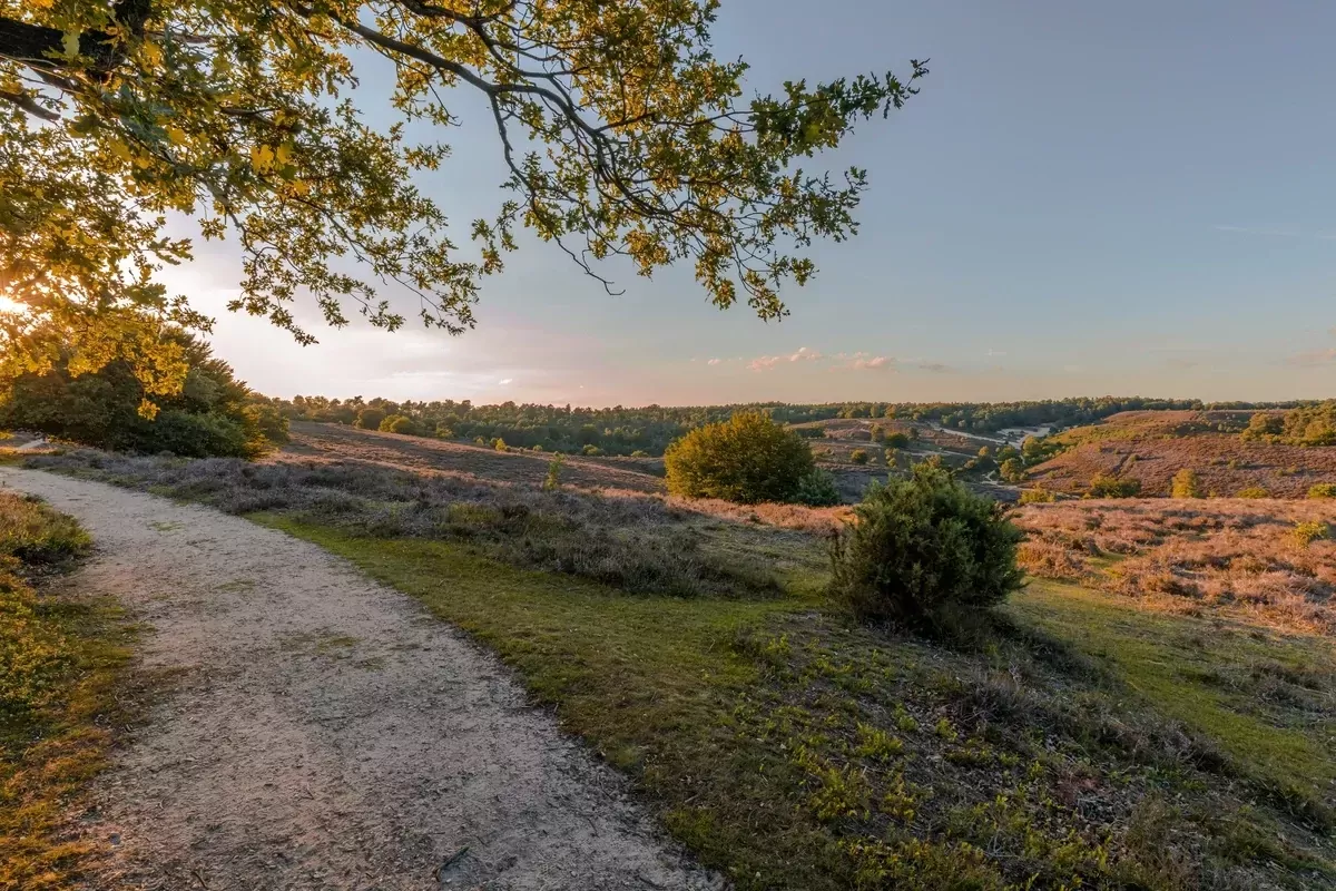 Landgoed 't Loo-