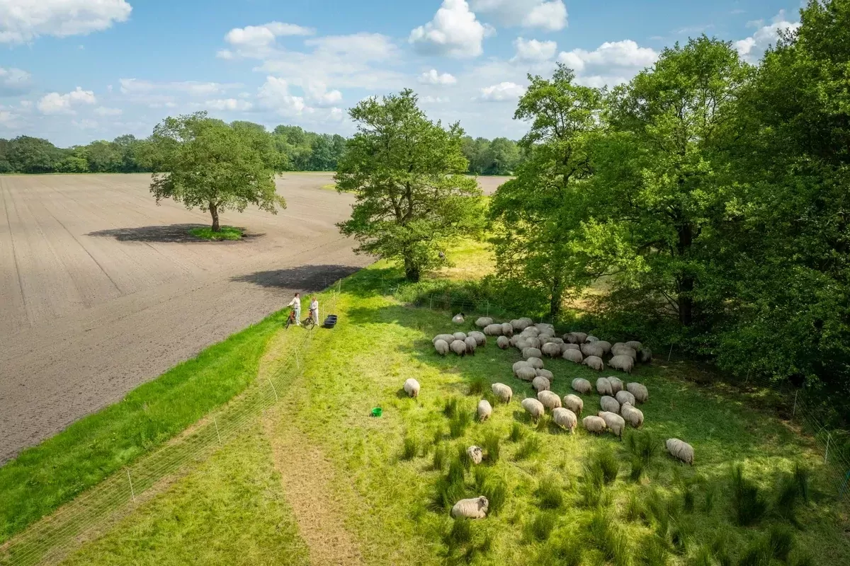 Landal Orveltermarke-