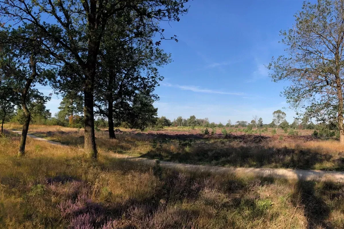 Landal Twenhaarsveld-