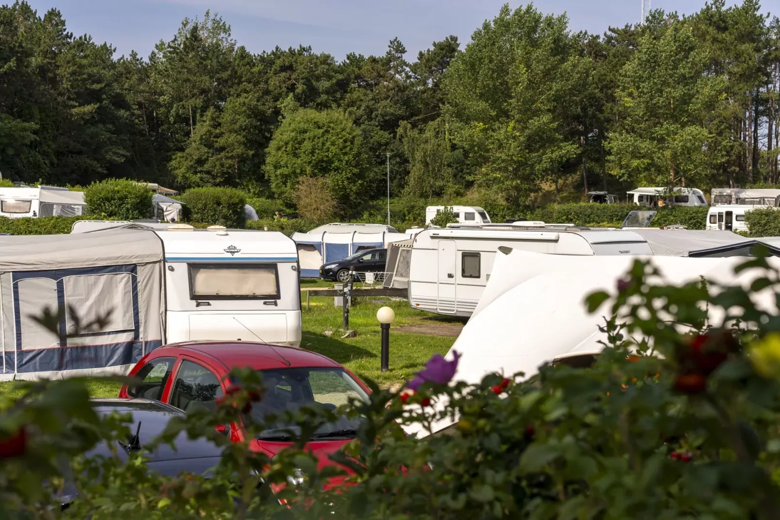 Kustpark Egmond aan Zee-