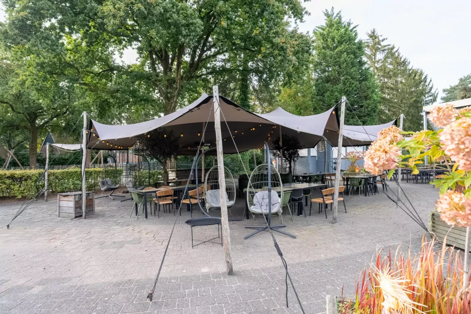 De Katjeskelder-