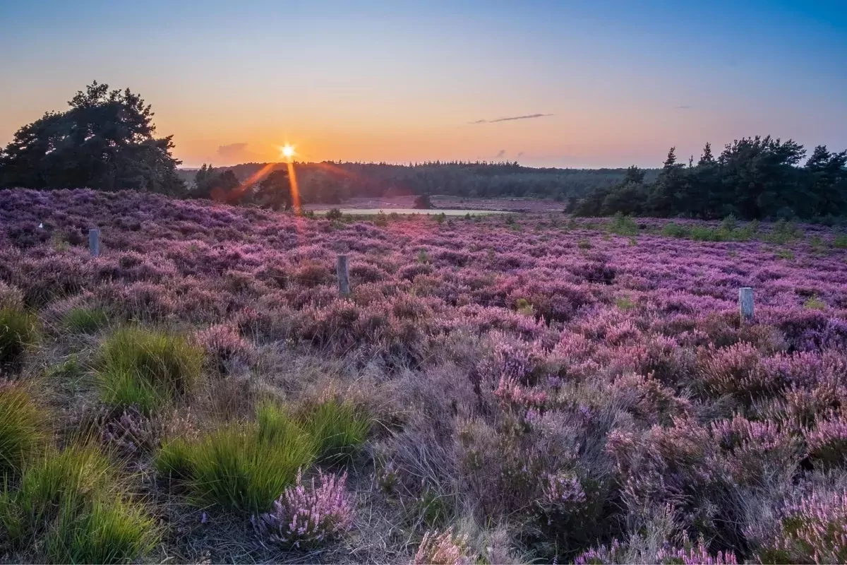Landgoed De Hellendoornse Berg-