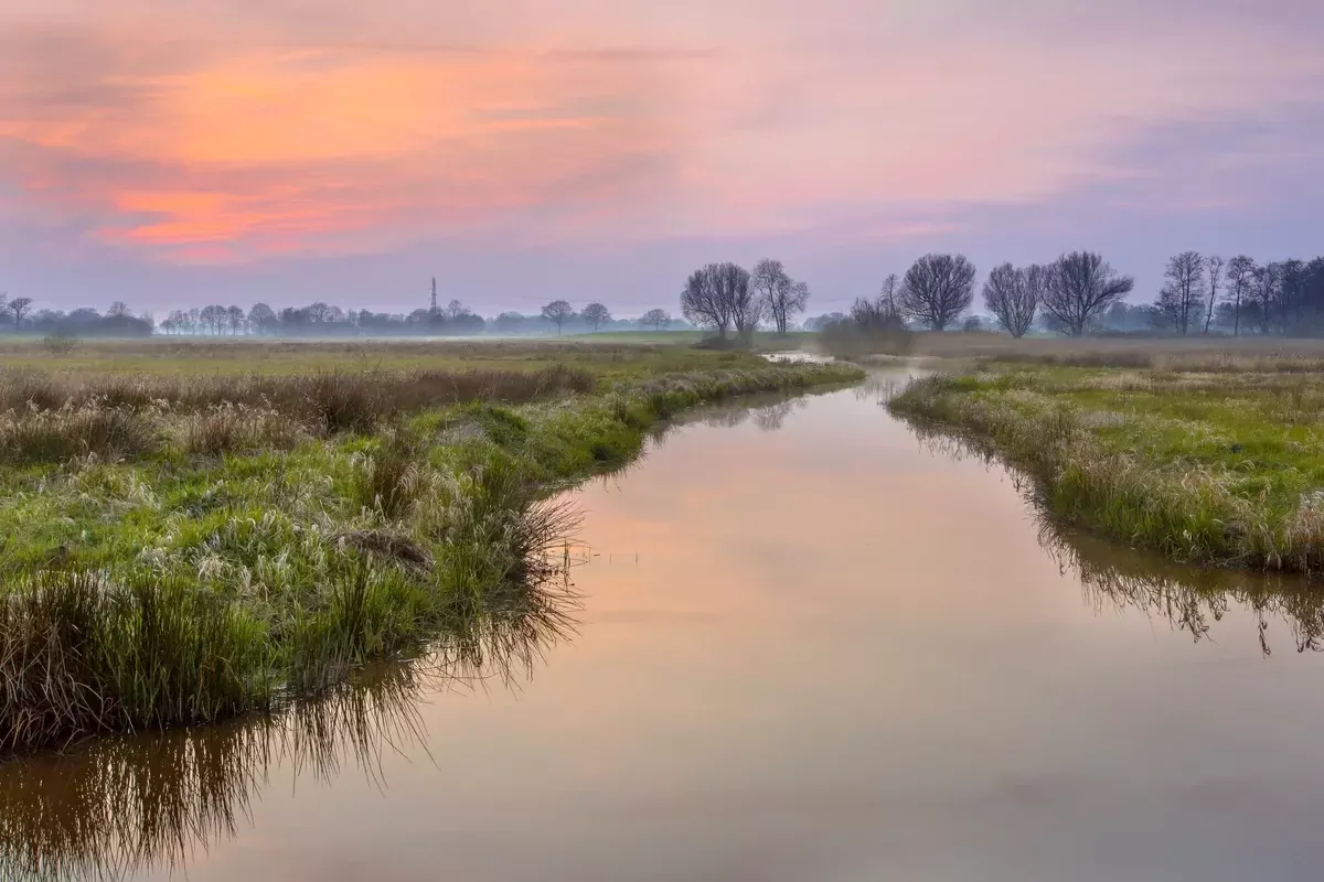Landal Twenhaarsveld-