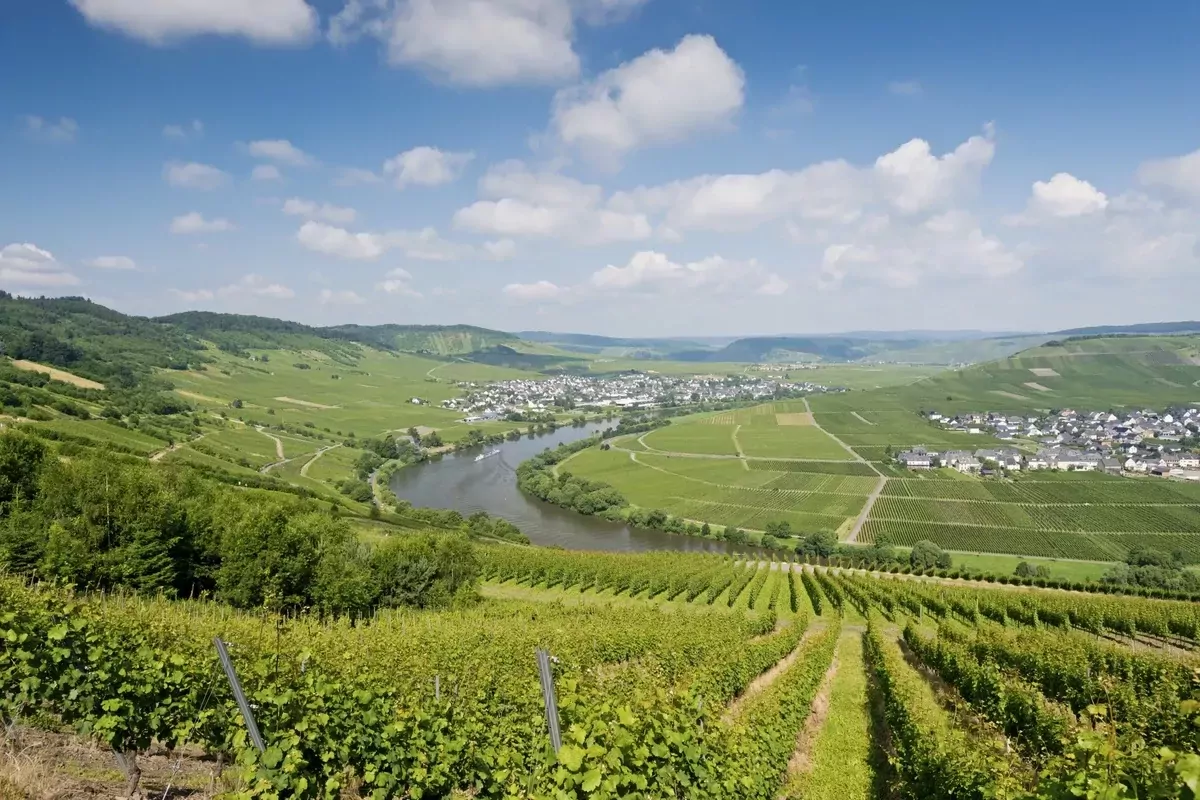 Landal Sonnenberg-