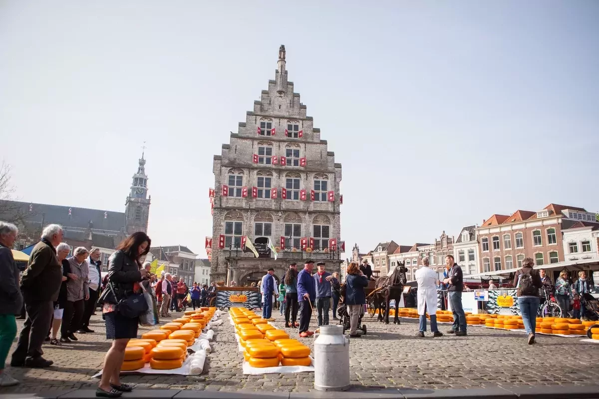 Landal De Reeuwijkse Plassen-