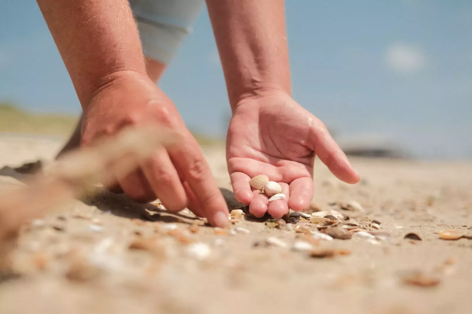 Beach Resort Nieuwvliet-Bad-