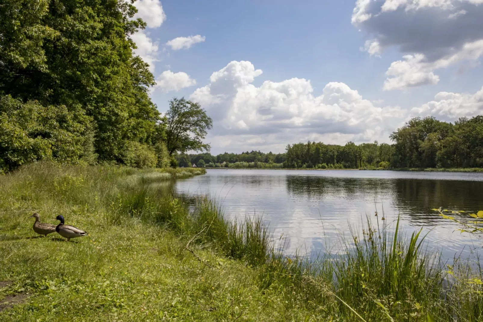 Park Eksel-