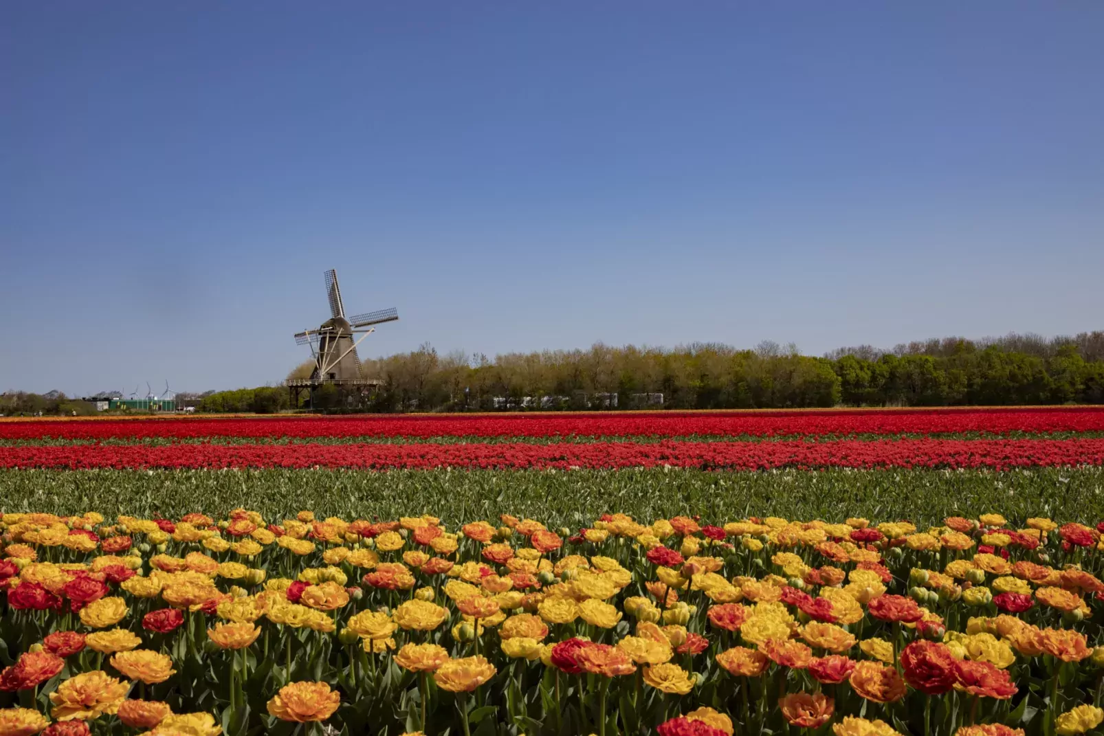 Roompot Callantsoog-