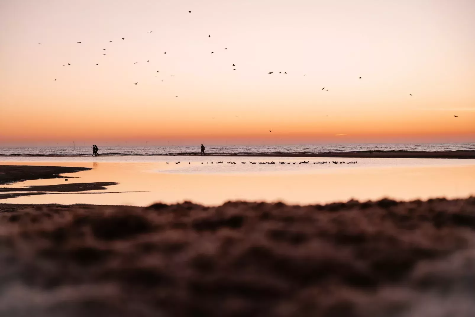 Beach Villa's Hoek van Holland-