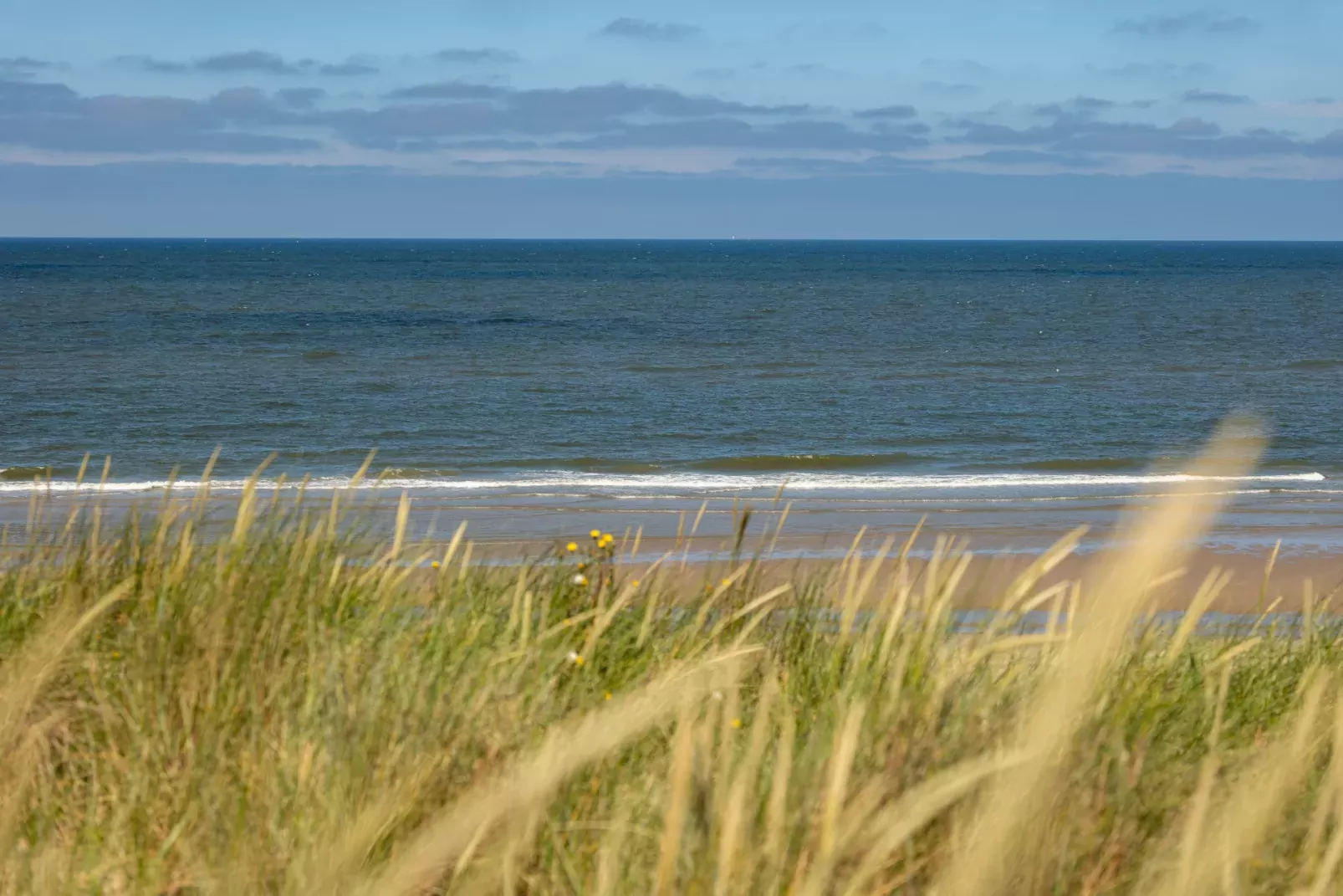 Roompot Kustpark Texel-