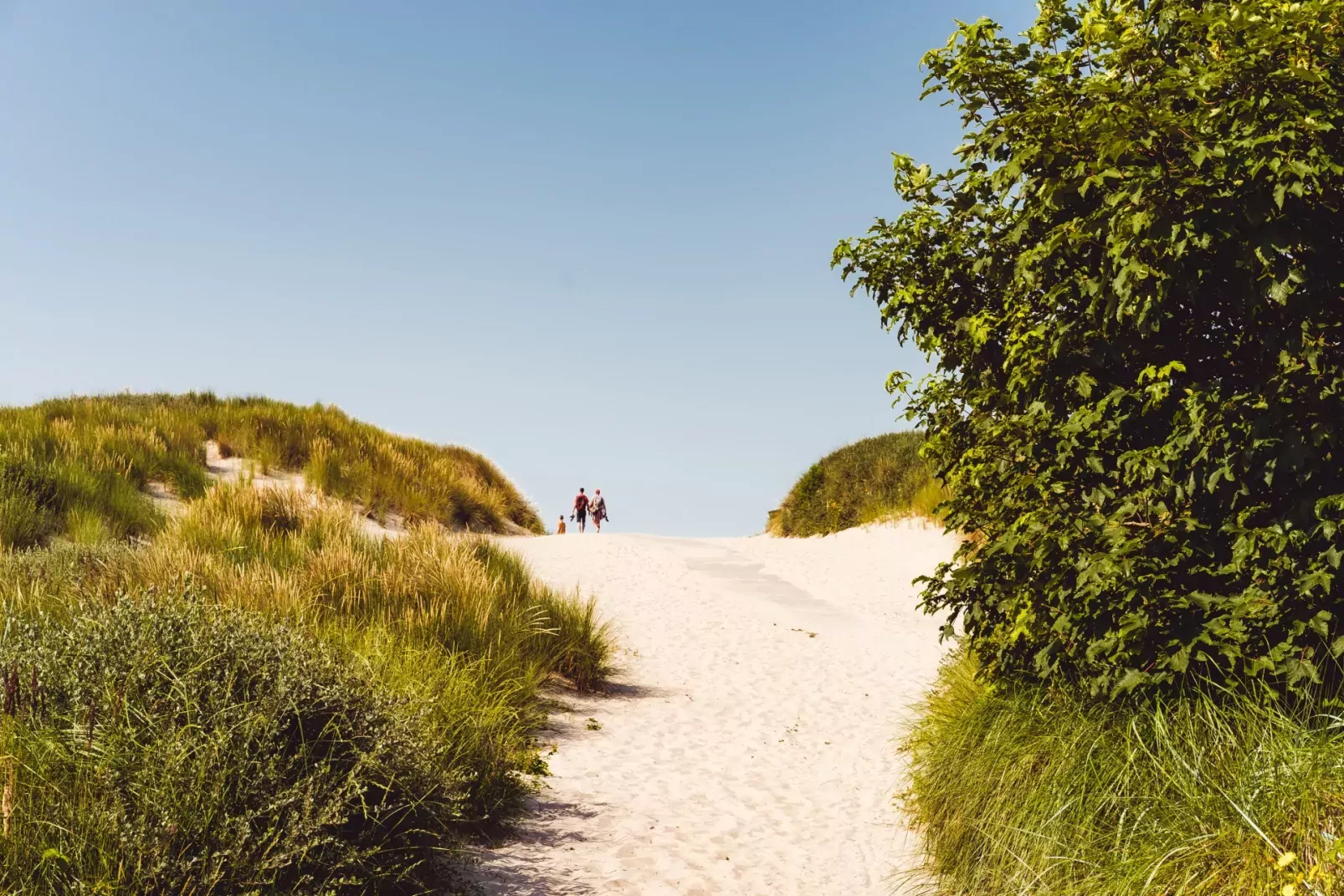 Vakantiepark Boomhiemke-
