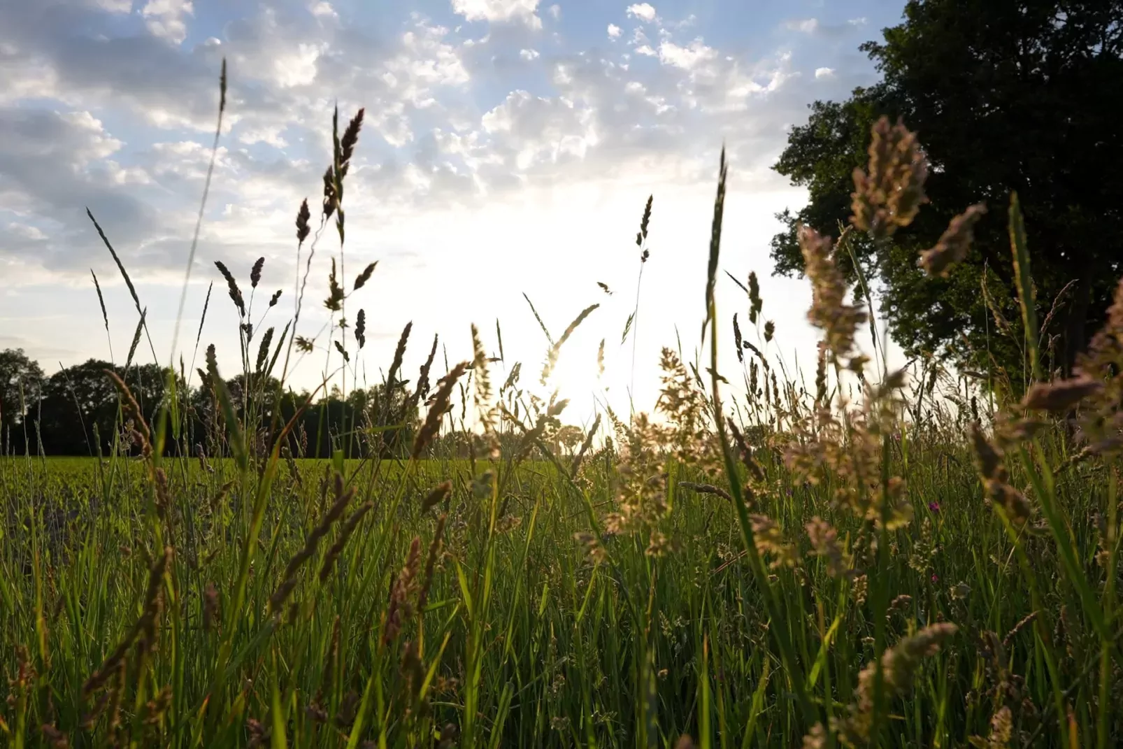 Vakantiepark Weerterbergen-