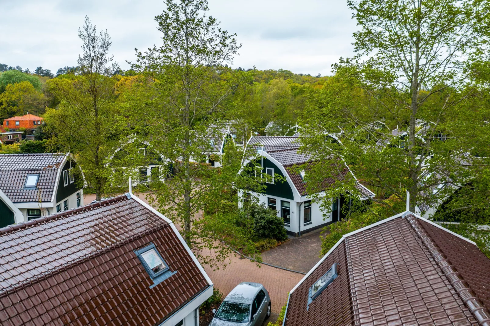 EuroParcs Koningshof