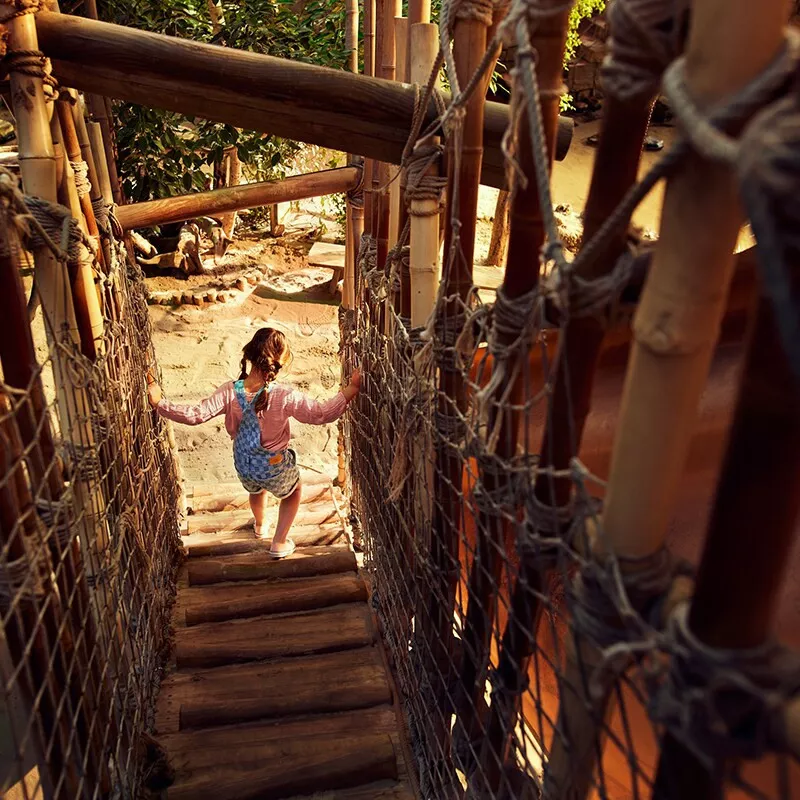 Center Parcs De Vossemeren-