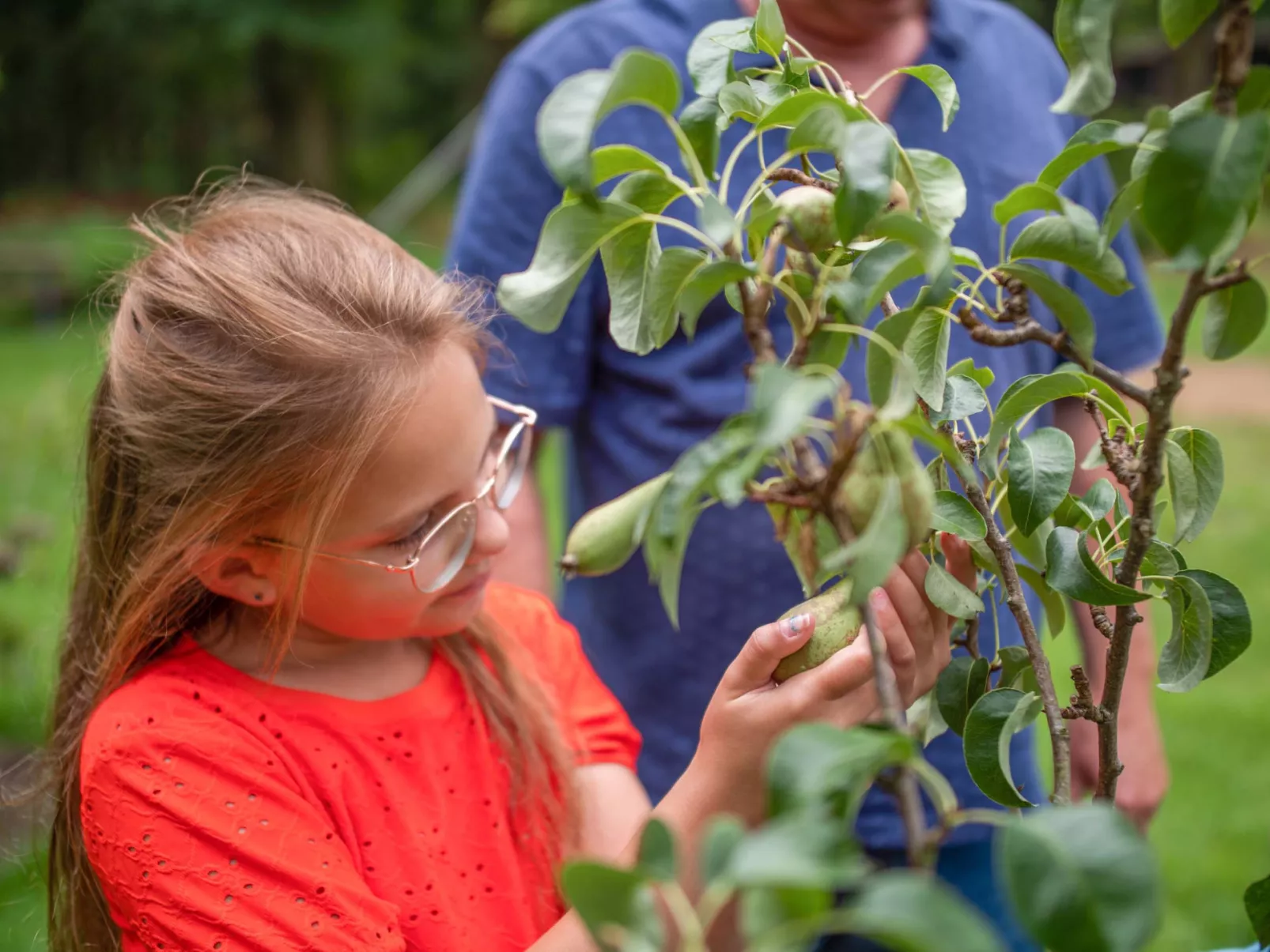 TopParken Recreatiepark Beekbergen-