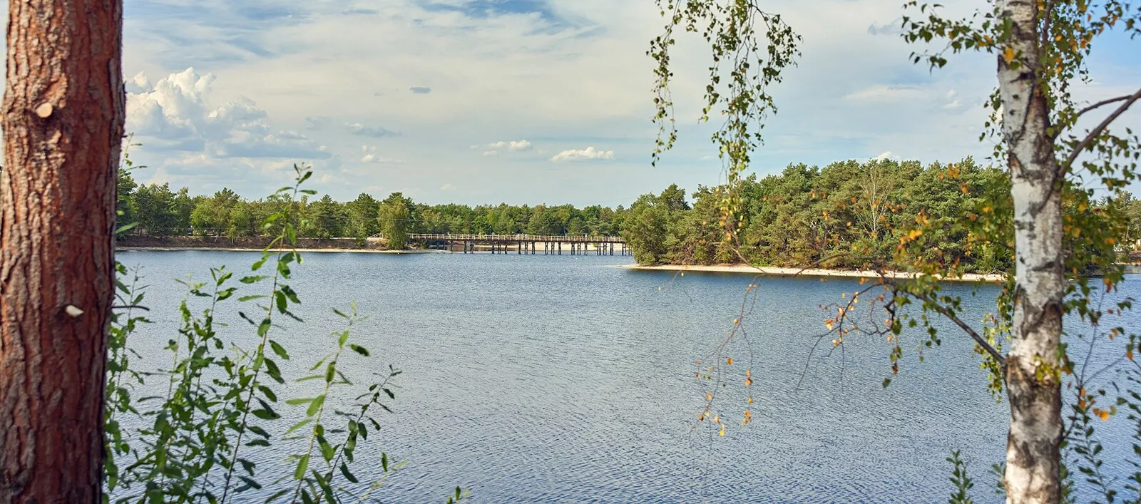 Center Parcs De Vossemeren-