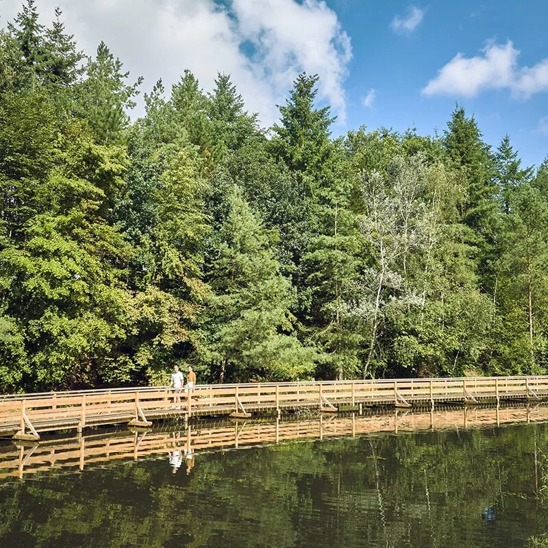 Center Parcs Bispinger Heide-