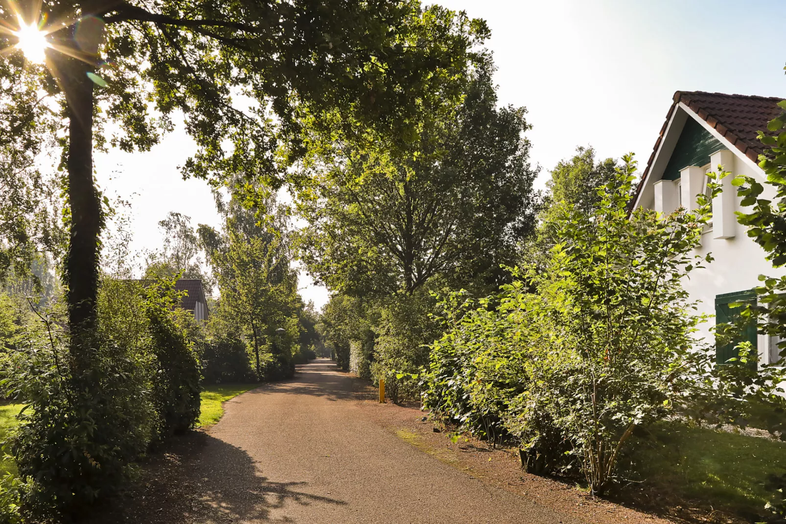 Summio Vakantiepark Het Drentse Wold-