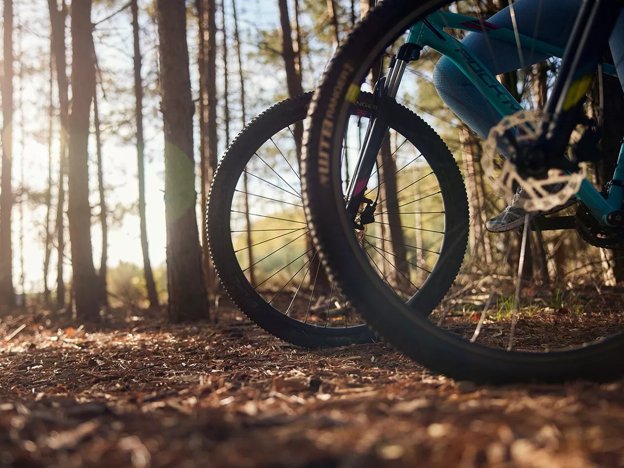 Center Parcs Park De Haan-