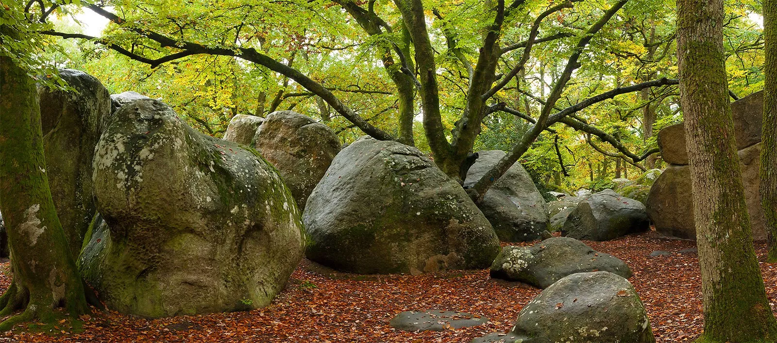 Center Parcs Villages Nature Paris-