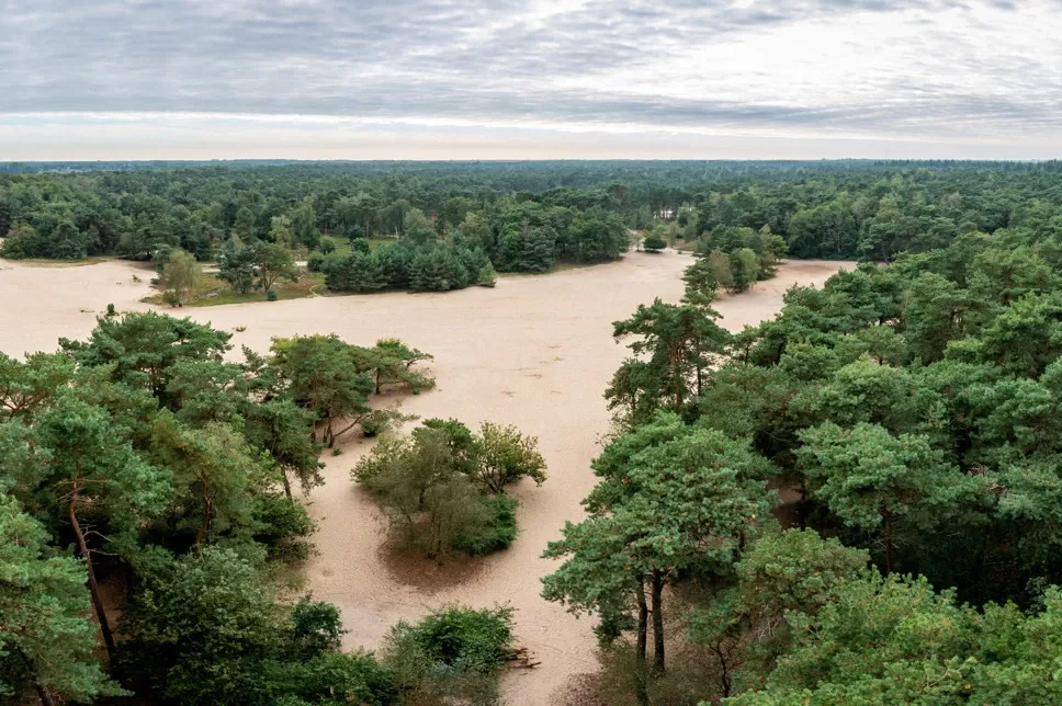 Summio Vakantiepark Herperduin - In de buurt