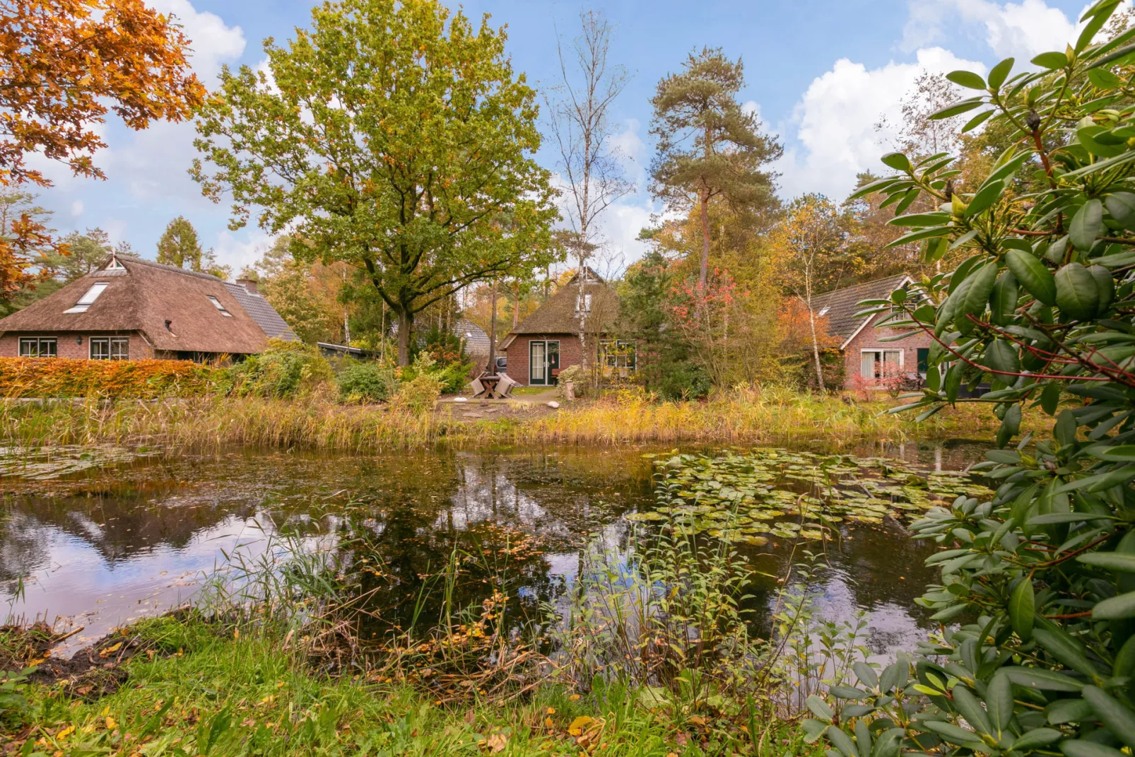 Landgoed Het Grote Zand - Op het park