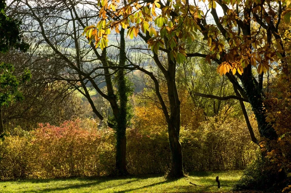 Summio Vakantiepark Reevallis - In de buurt