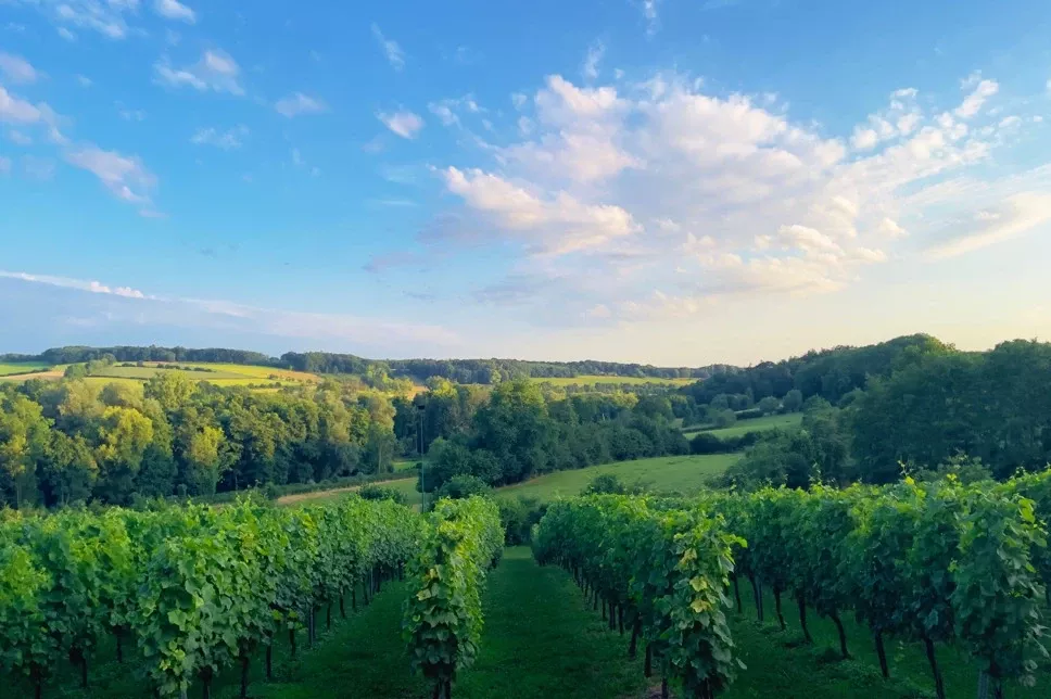 Summio Vakantiepark Reevallis - In de buurt