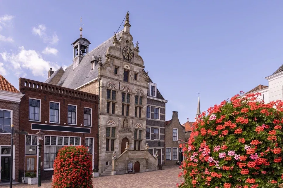 Summio Parc Port Greve - In de buurt