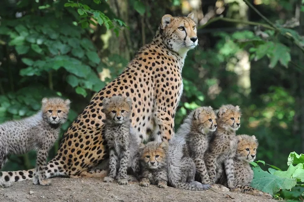 Summio Parc De Berkenhorst - In de buurt