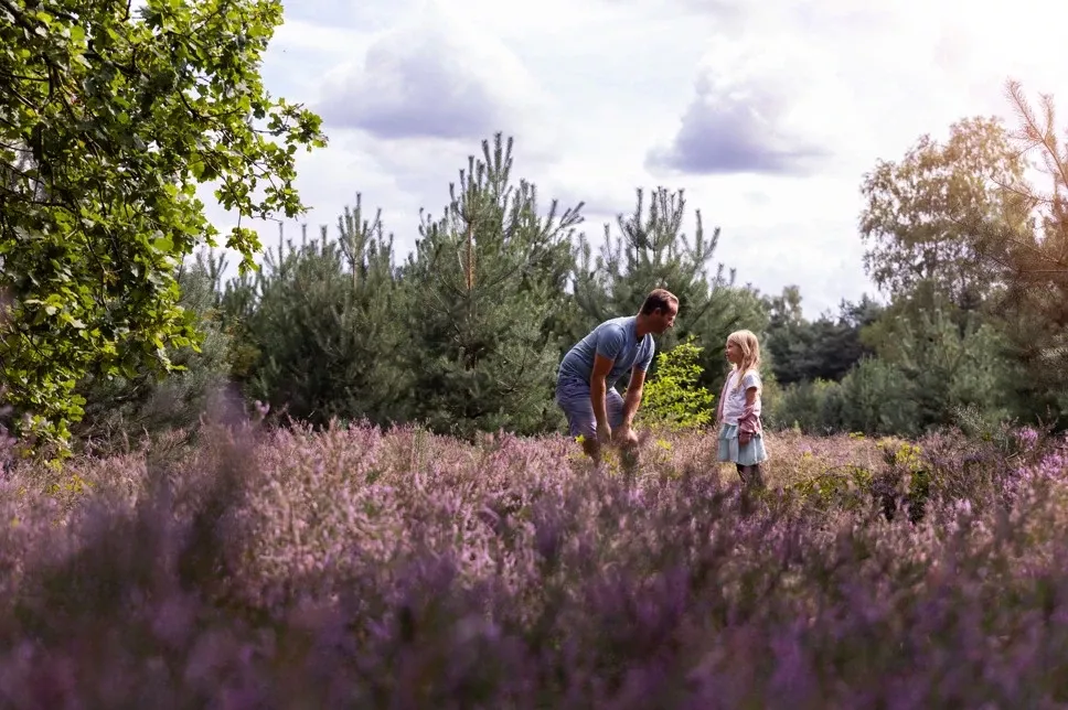 Summio Parc Heihaas - In de buurt