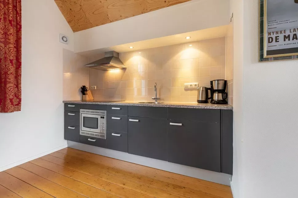 Summio Havenresort Terherne - Accommodatie