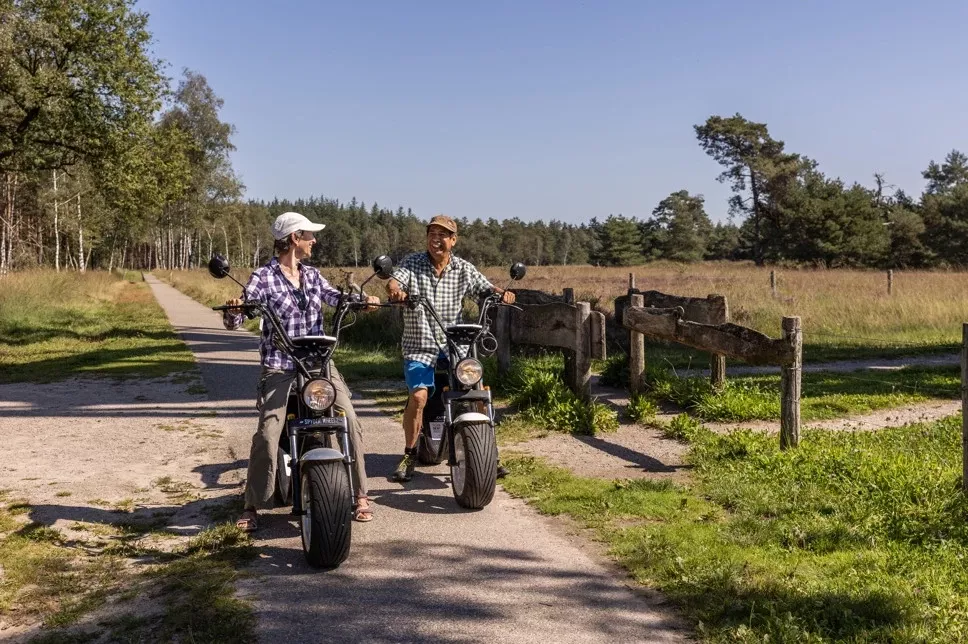 Summio Parc Duc De Brabant - Activiteiten