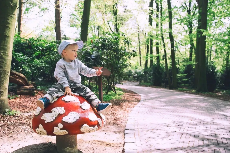 Summio Parc Duc De Brabant - Op het park