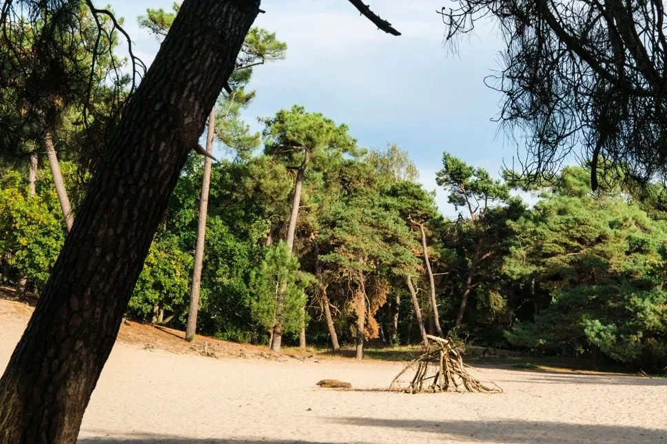 Summio Parc Duc De Brabant - In de buurt