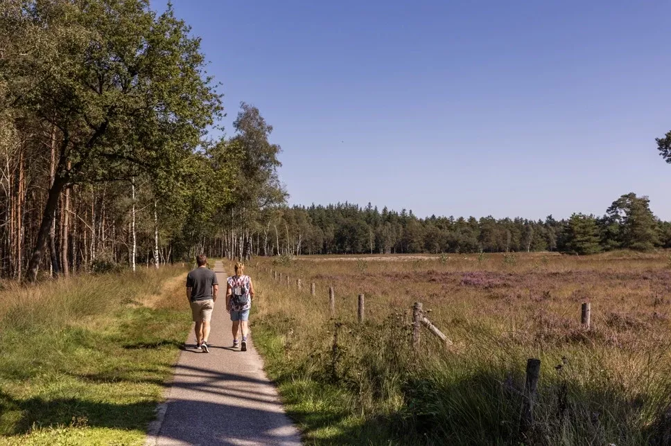 Summio Parc Duc De Brabant - In de buurt