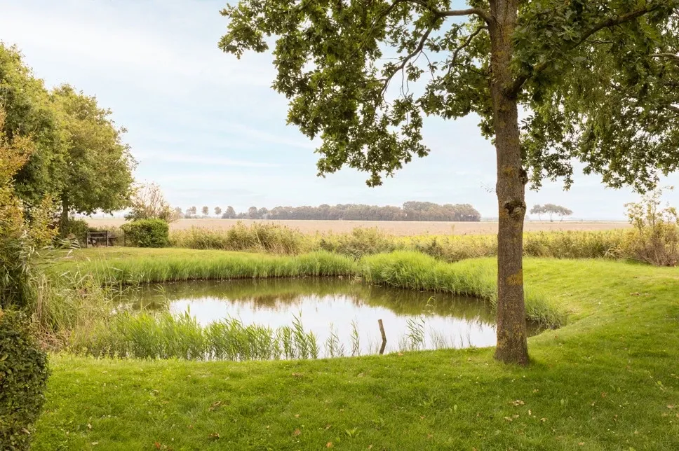 Summio Zeeland Village - Op het park