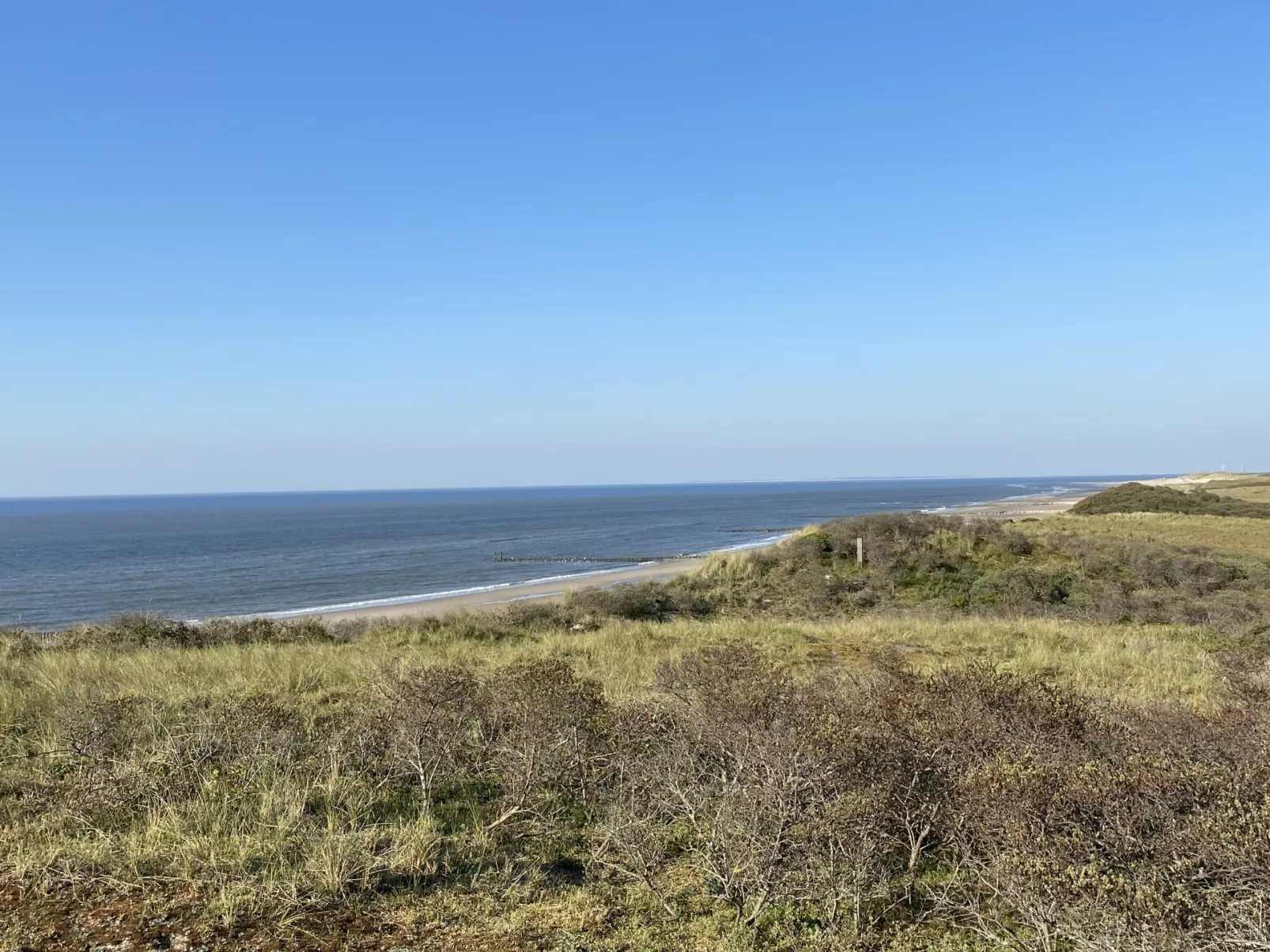 Fort Den Haak - In de buurt