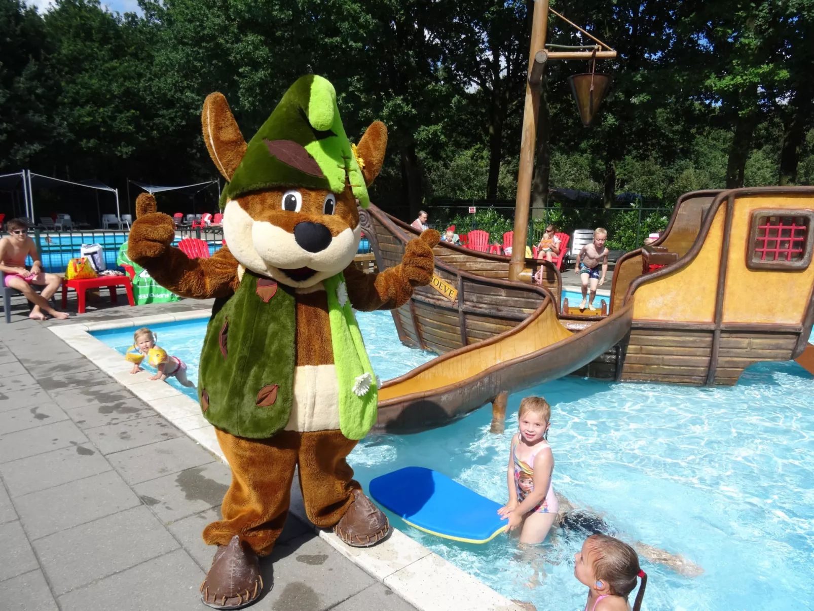 Recreatiepark Duinhoeve - Zwembad